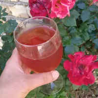 سرکه انگور طبیعی و بهداشتی  تهیه شده از انگور باغات روستای سرسبز سوکهریز