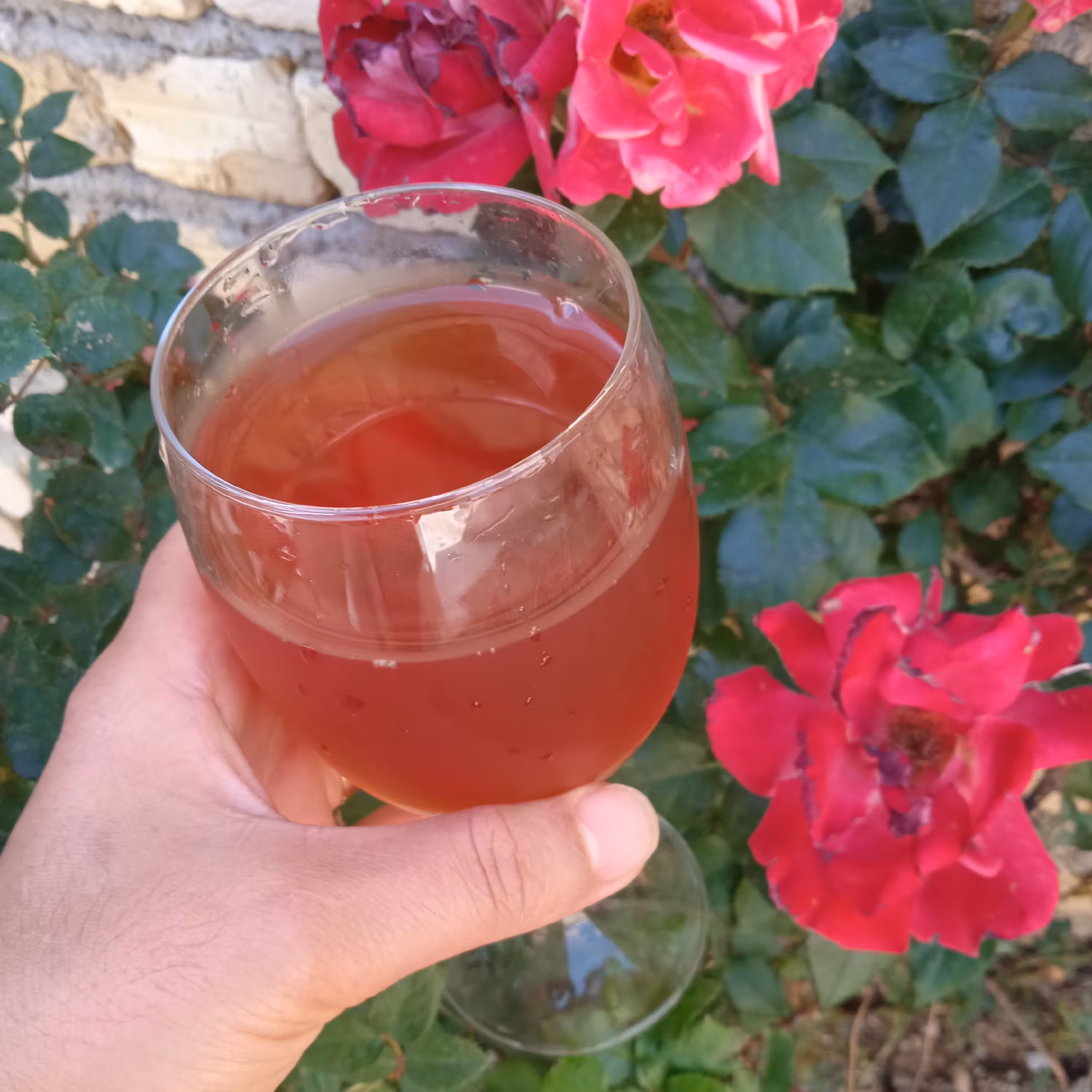 سرکه انگور طبیعی و بهداشتی  تهیه شده از انگور باغات روستای سرسبز سوکهریز