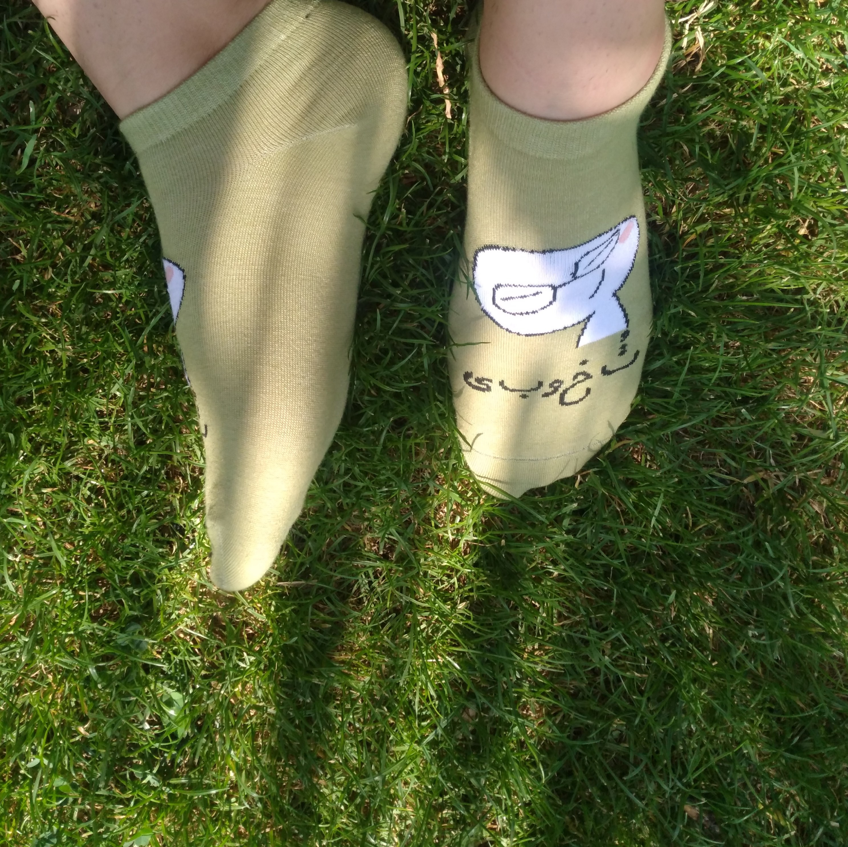 جوراب مچی طرح تو خوبی تخفیف یلدایی