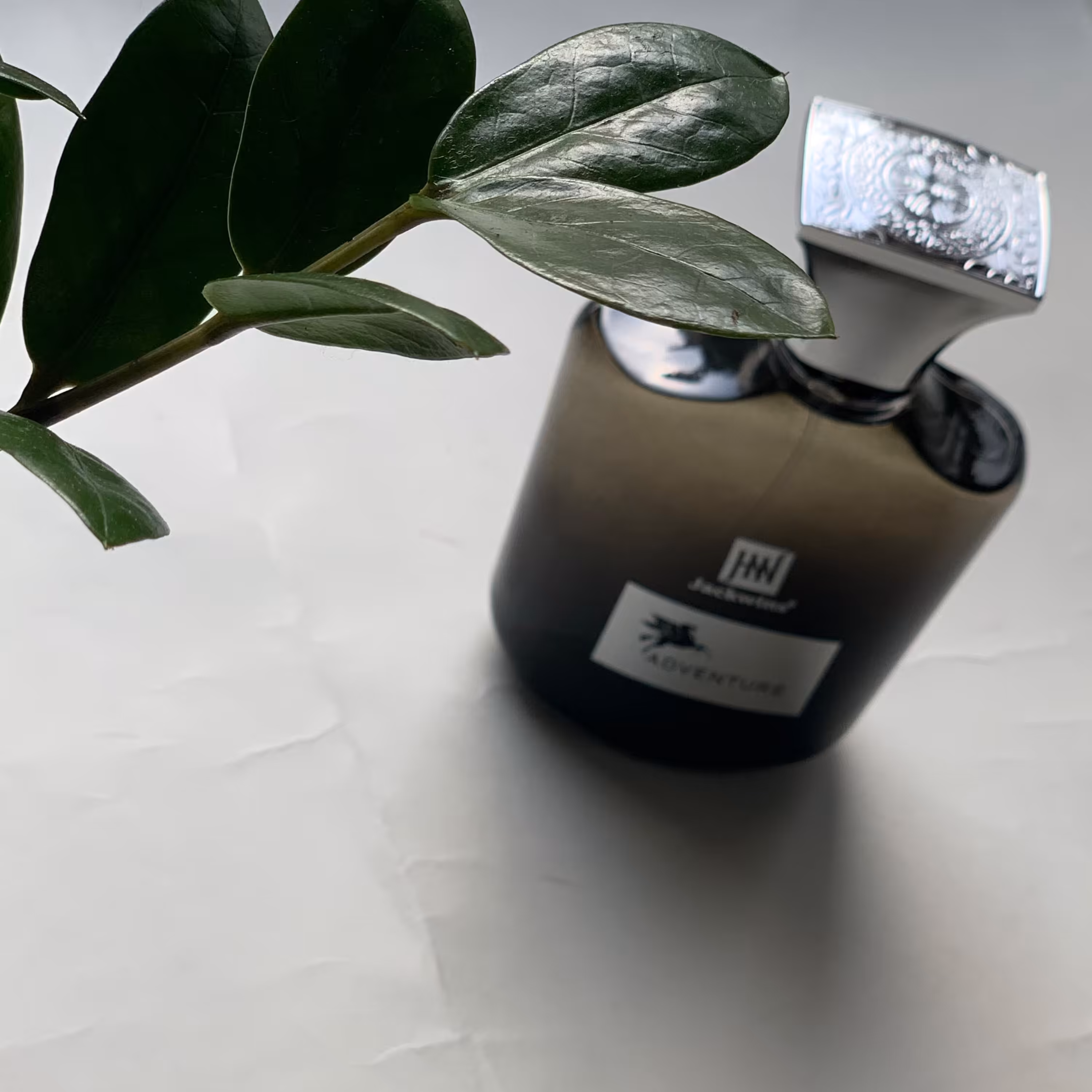 عطر 100میل شرکتی کریداونتوس مردانه