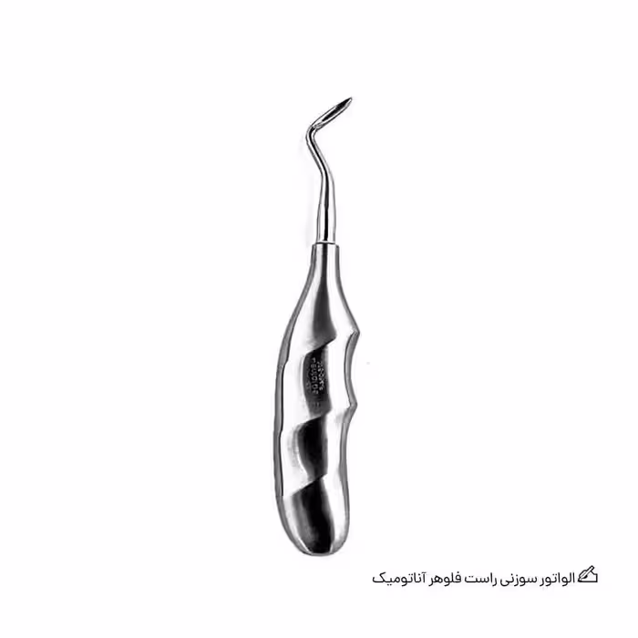 الواتور سوزنی راست فلوهر آناتومیک