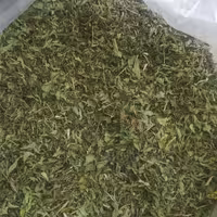 نعناع فلفلی خشک