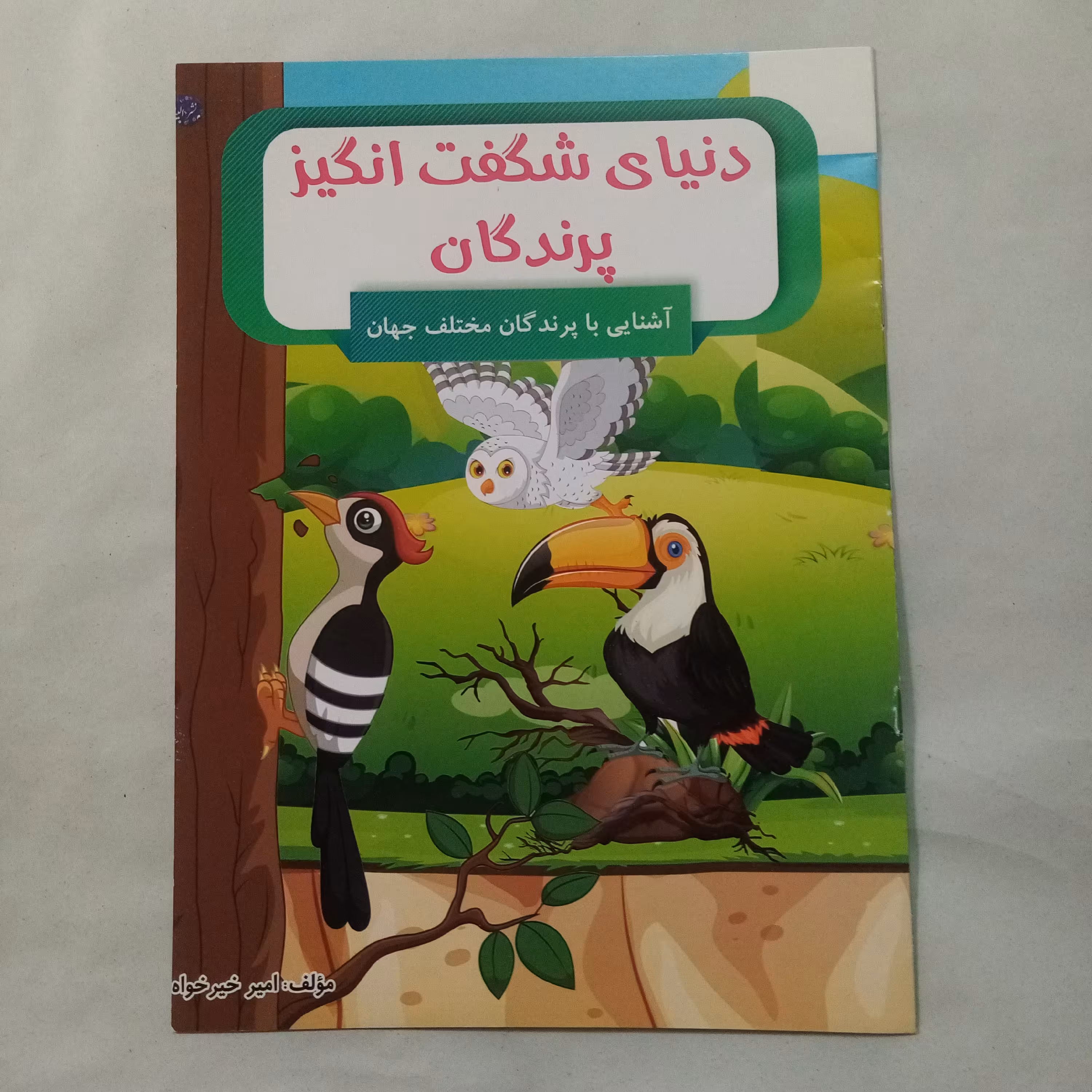 کتاب دنیای شگفت انگیز پرندگان