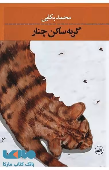 گربه ساکن چنار نشر ثالث