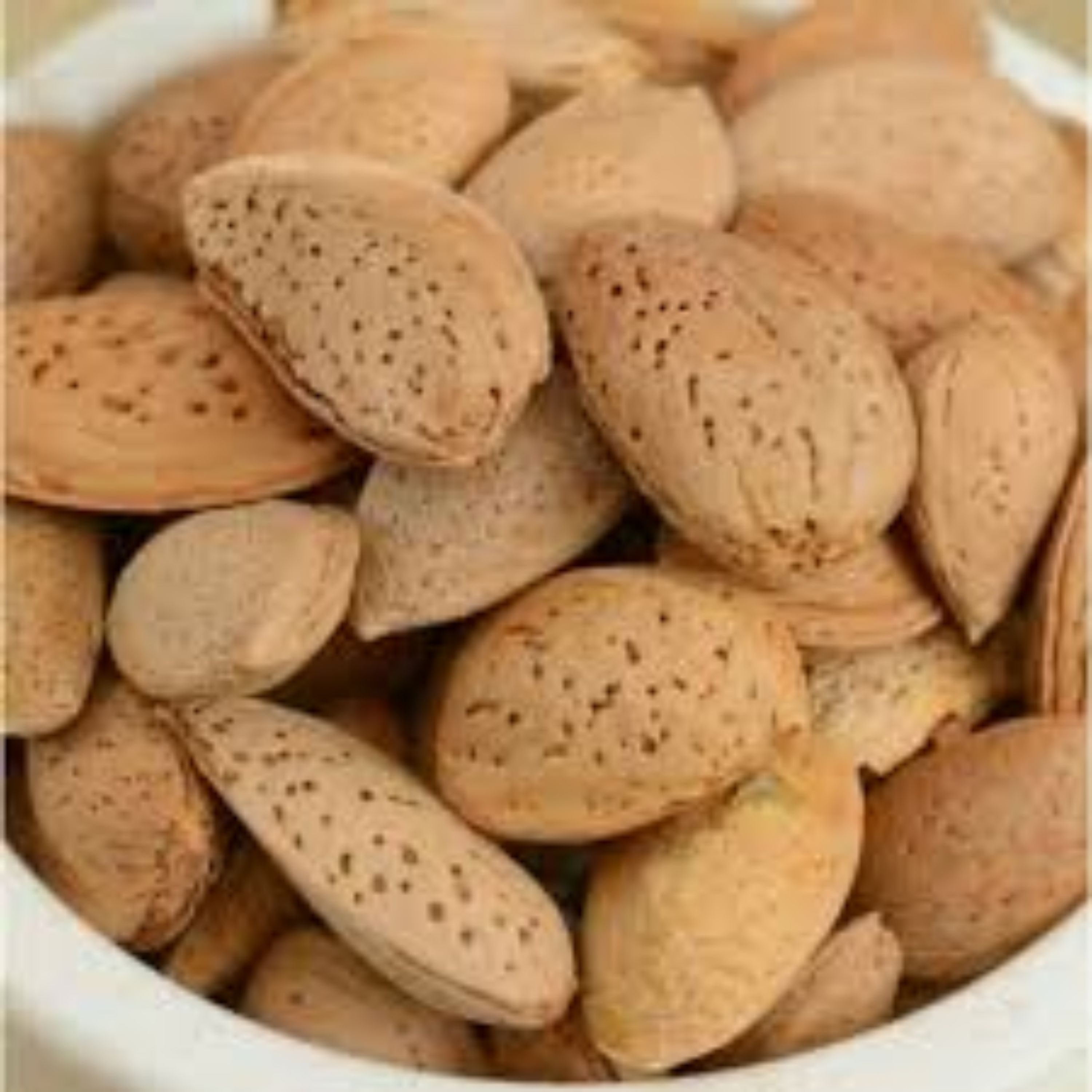 بادام سنگی 500 گرمی