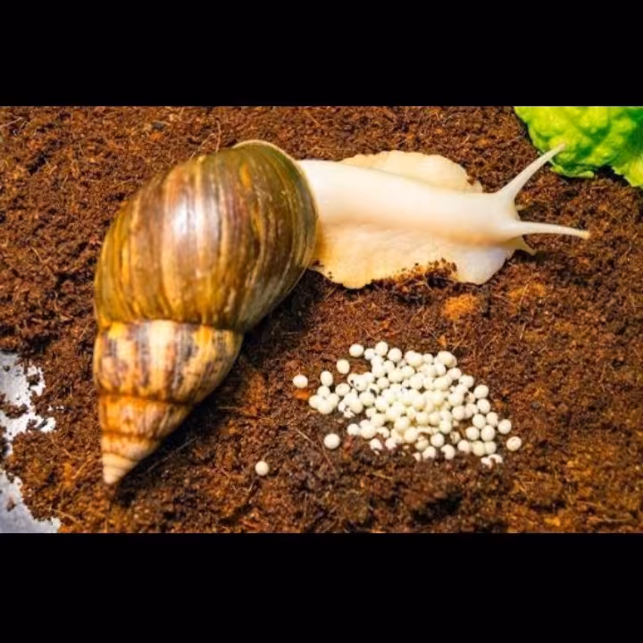 خاک حلزون کوکوپیت بسته ی 10 لیتری (پس کرایه)