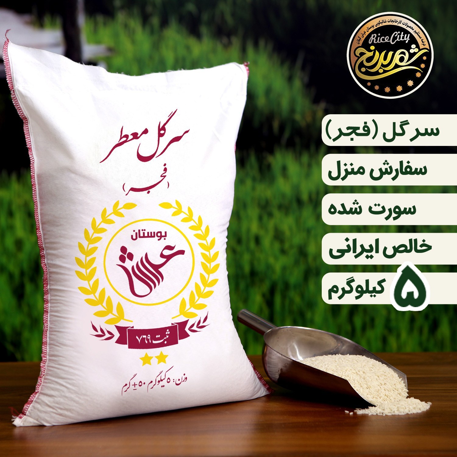 برنج سرگل معطر فجر ممتاز گرگان 5 کیلویی (تضمین کیفیت)