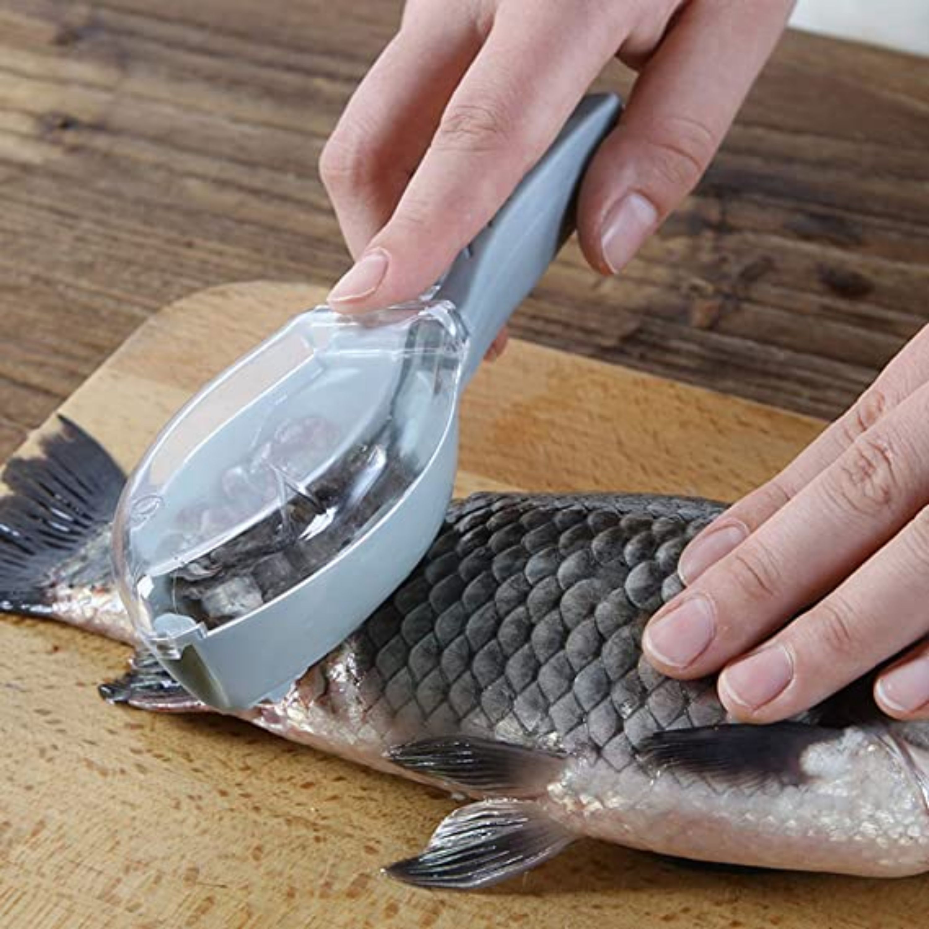 پوست کن ماهی Fish Flakes Peeler