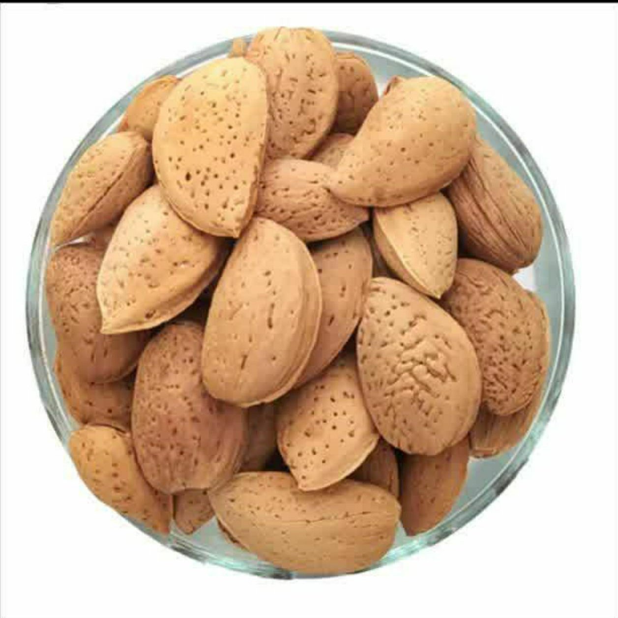 بادام سنگی ایرانی