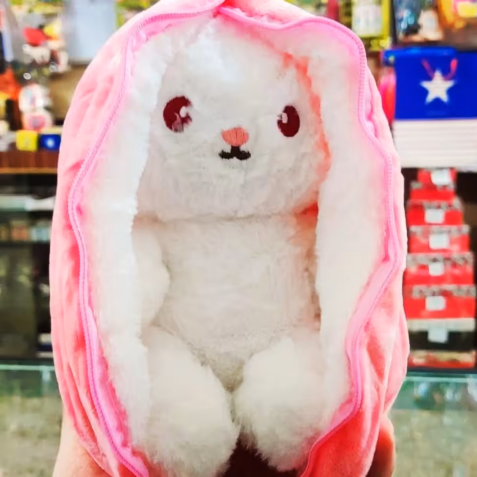 عروسک سورپرایزی 