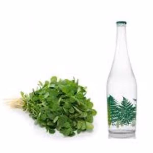 عرق شنبلیله یک لیتری