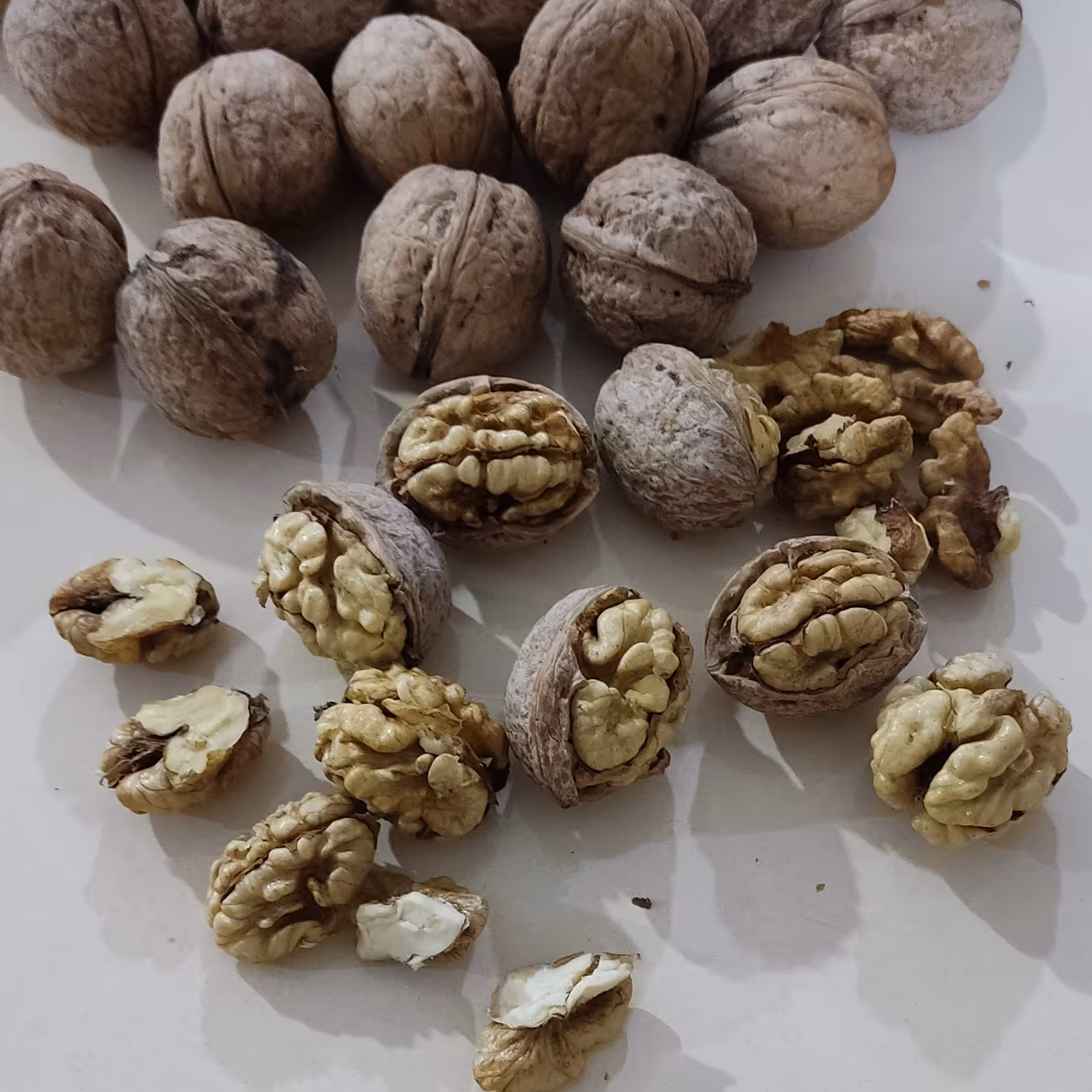 گردو  درجه یک 