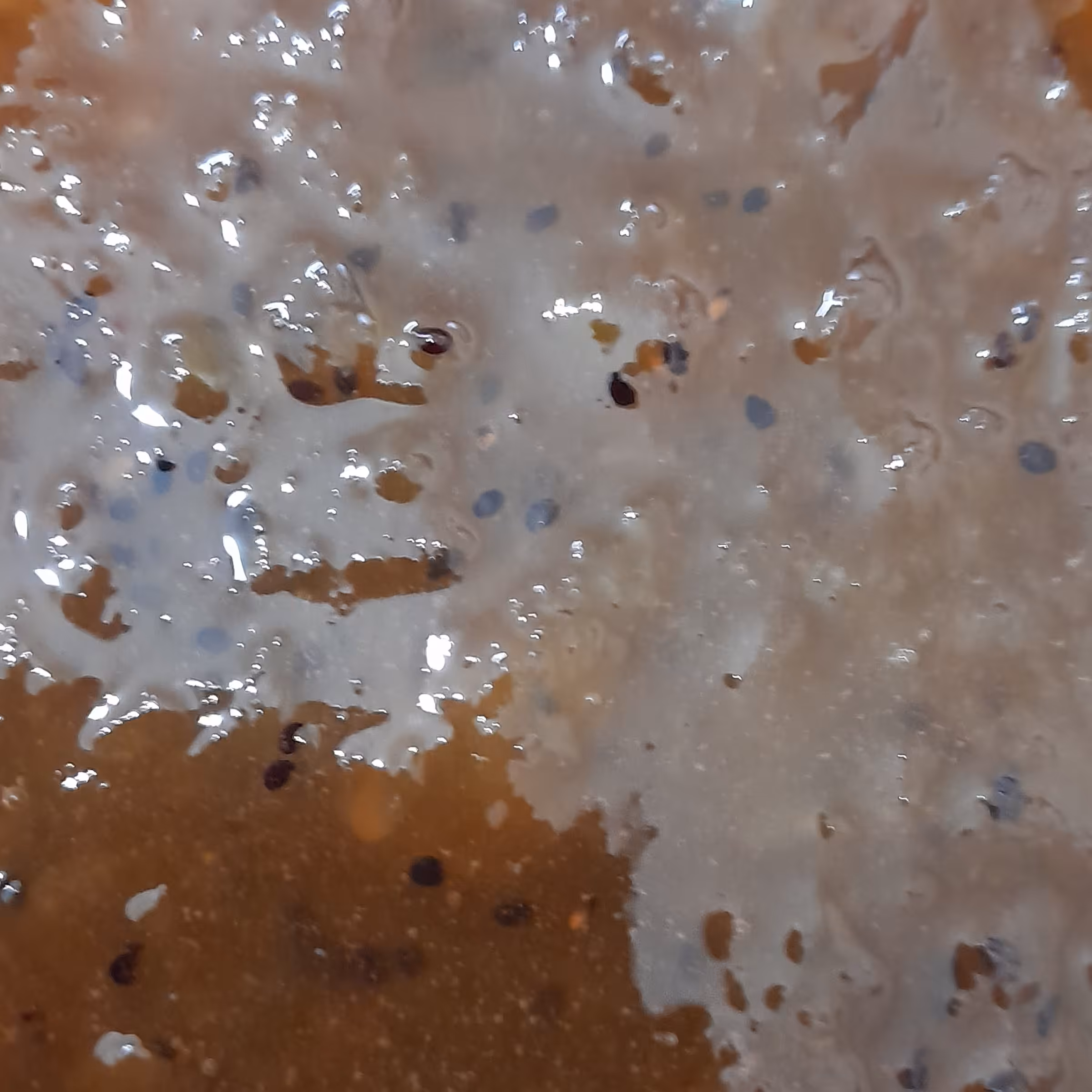 مربای کیوی (1800 گرمی)