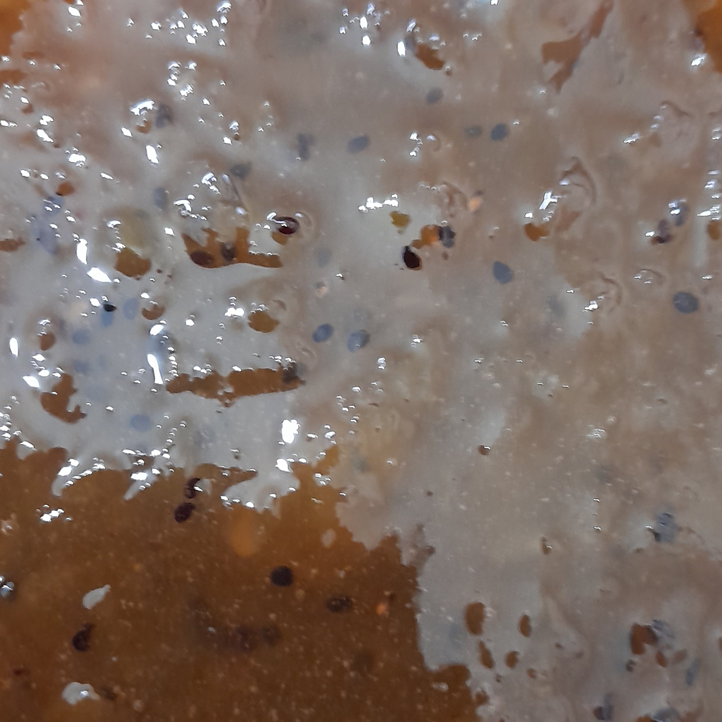 مربای کیوی (1800 گرمی)