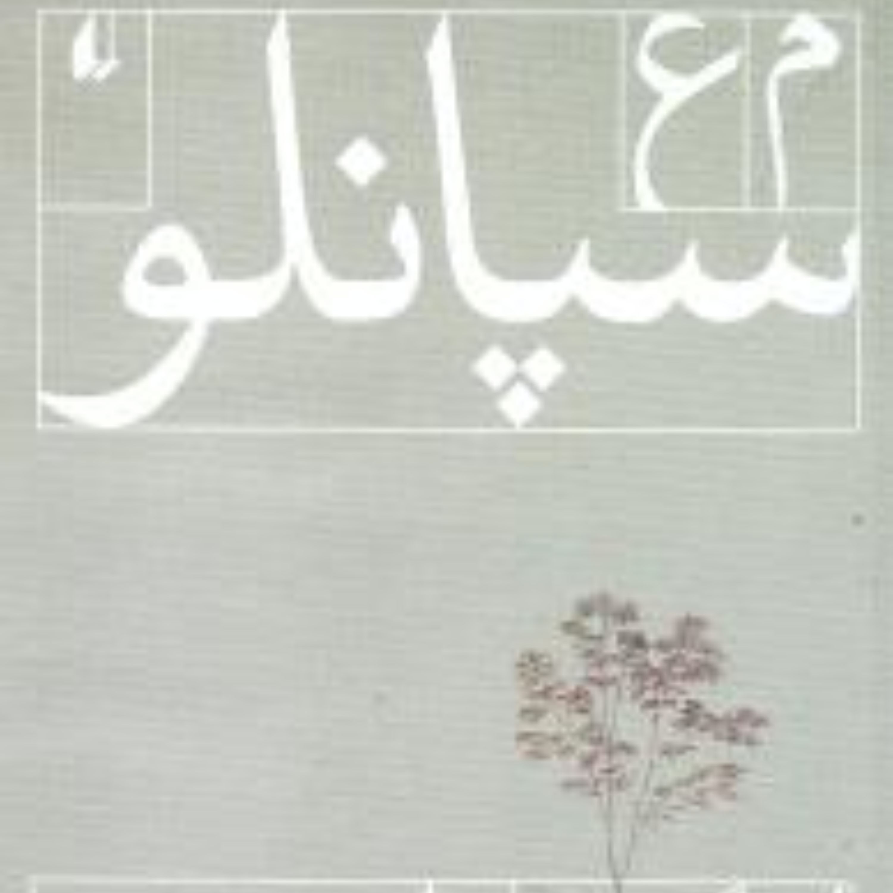 ادبیات امروز (شعر امروز)(افسانه شاعر گمنام)
