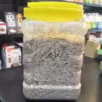 گرانول موسیر 100گرم هلث لند