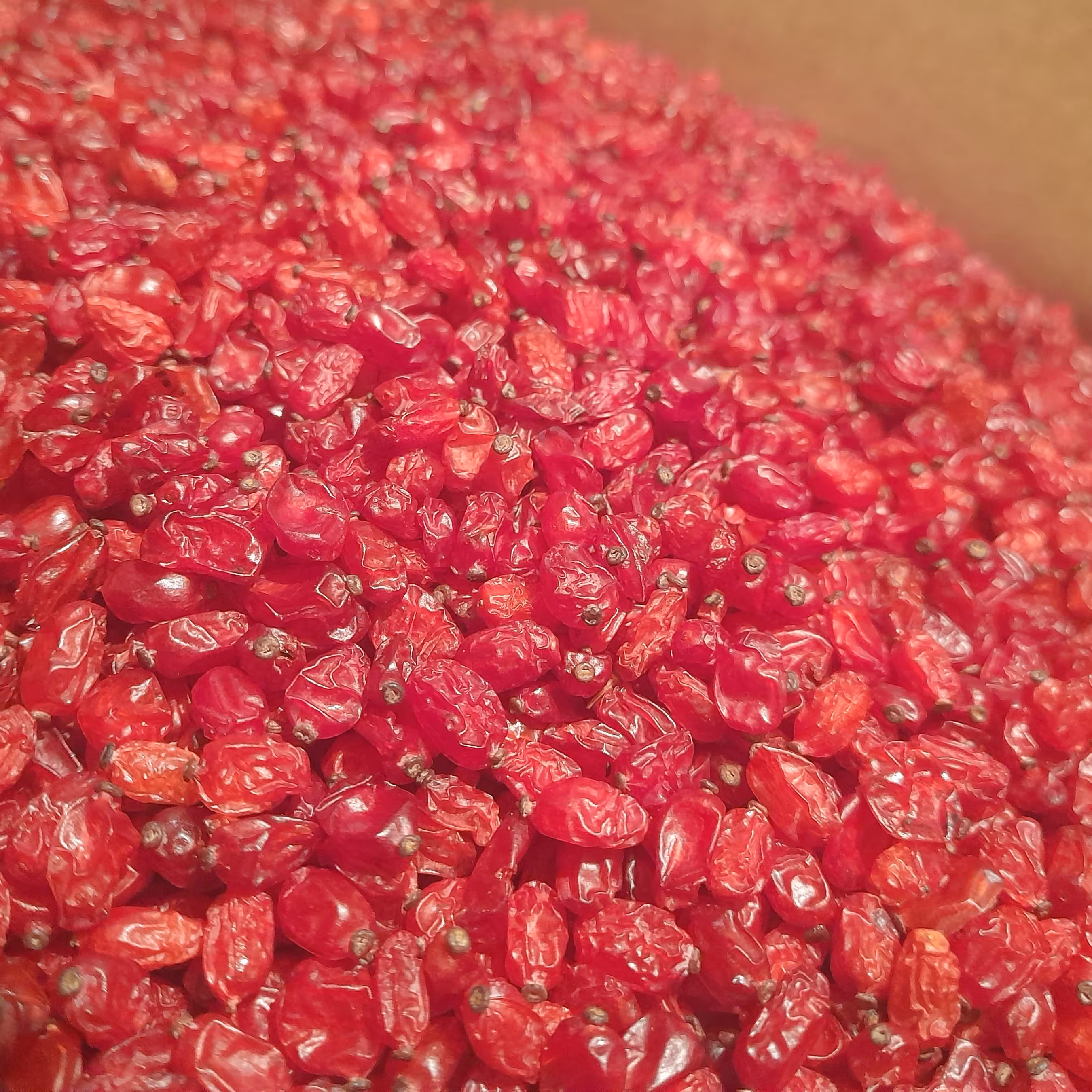 زرشک زیرتالاری