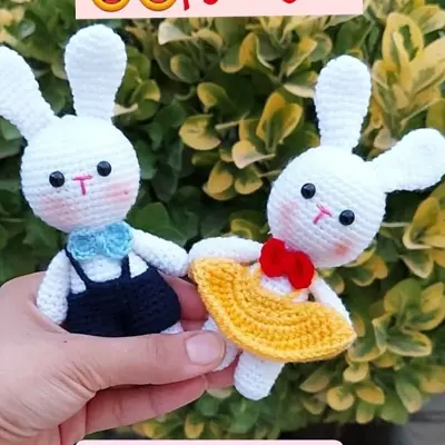 جاسویچی خانوم واقای خرگوش دستباف ناری