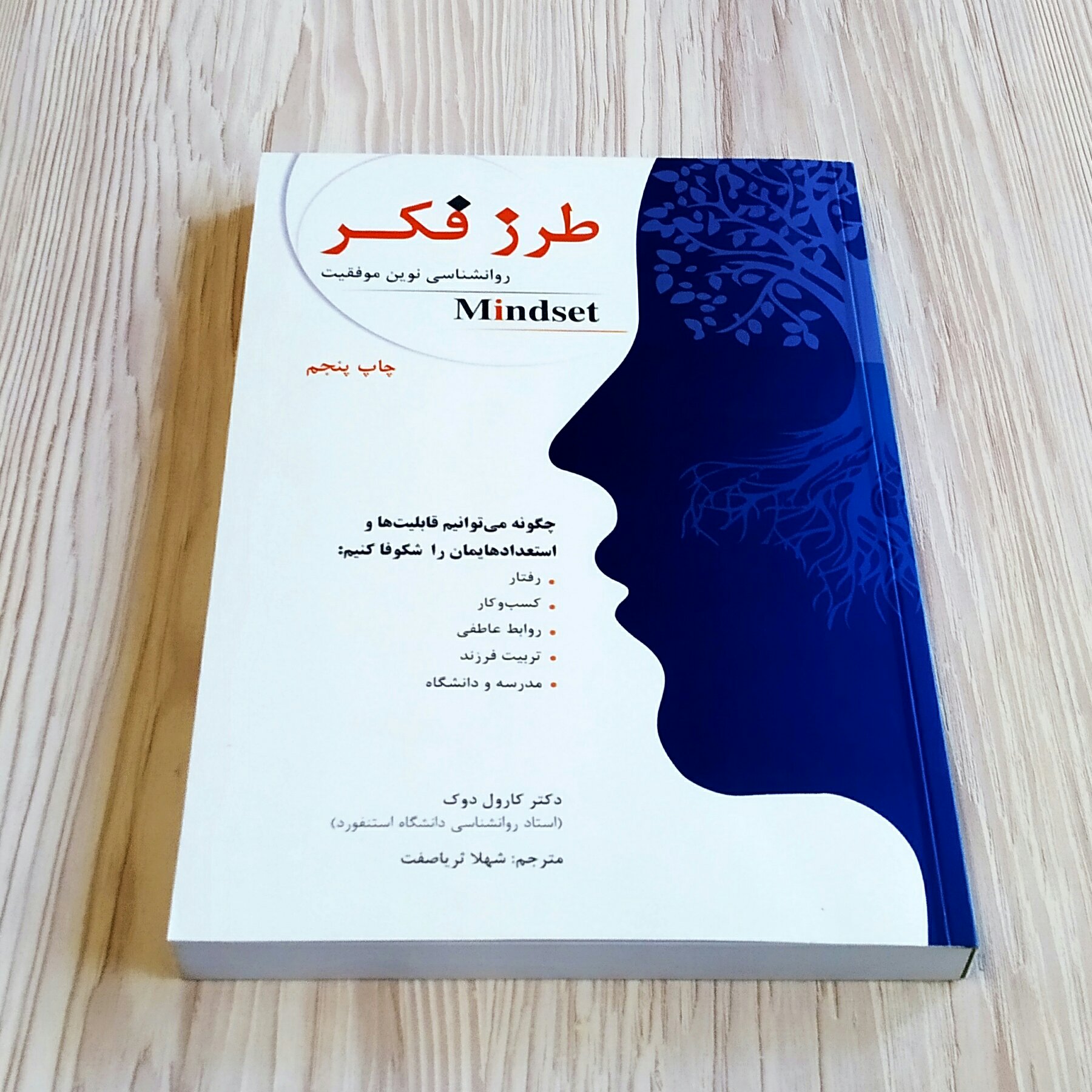 طرز فکر کارول دوک Mindset روانشناسی موفقیت ترجمه شهلا ثریاصفت