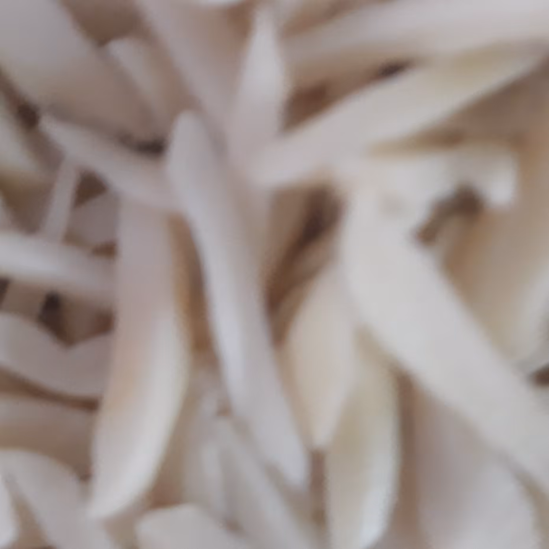 خلال بادام زمینی (کوهی)