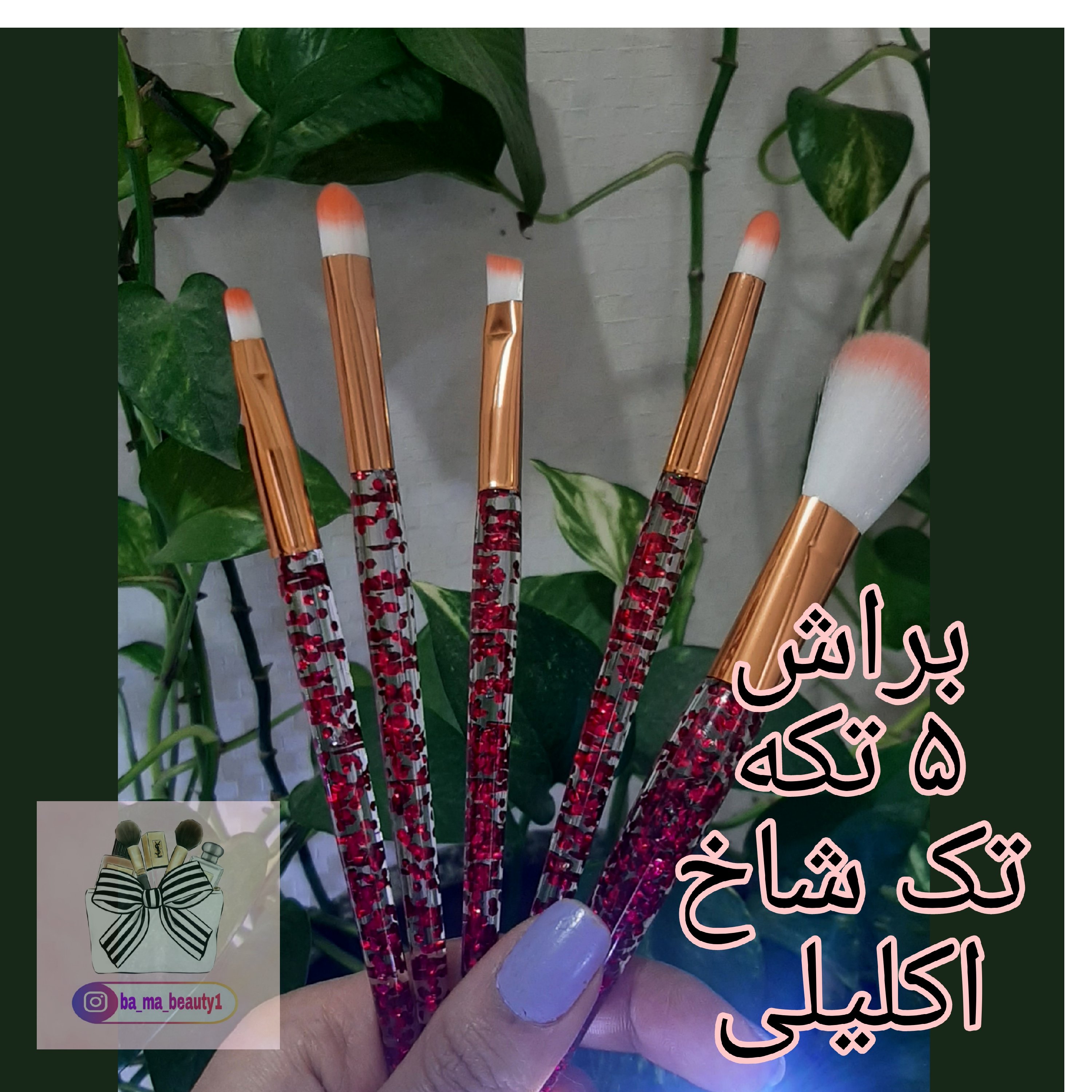 براش تک شاخ اکلیلی 5 تکه