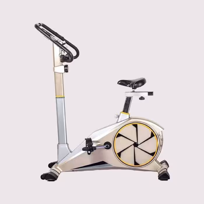 دوچرخه ثابت خانگی تایگر اسپرت G100