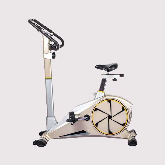 دوچرخه ثابت خانگی تایگر اسپرت G100