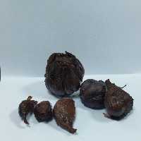 سیر ترشی هفت ساله کاملا طبیعی با خاصیت دارویی وزن 10کیلویی کاملا ارگانیک