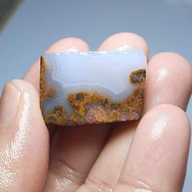 پک حبه نگینی عقیق شجر