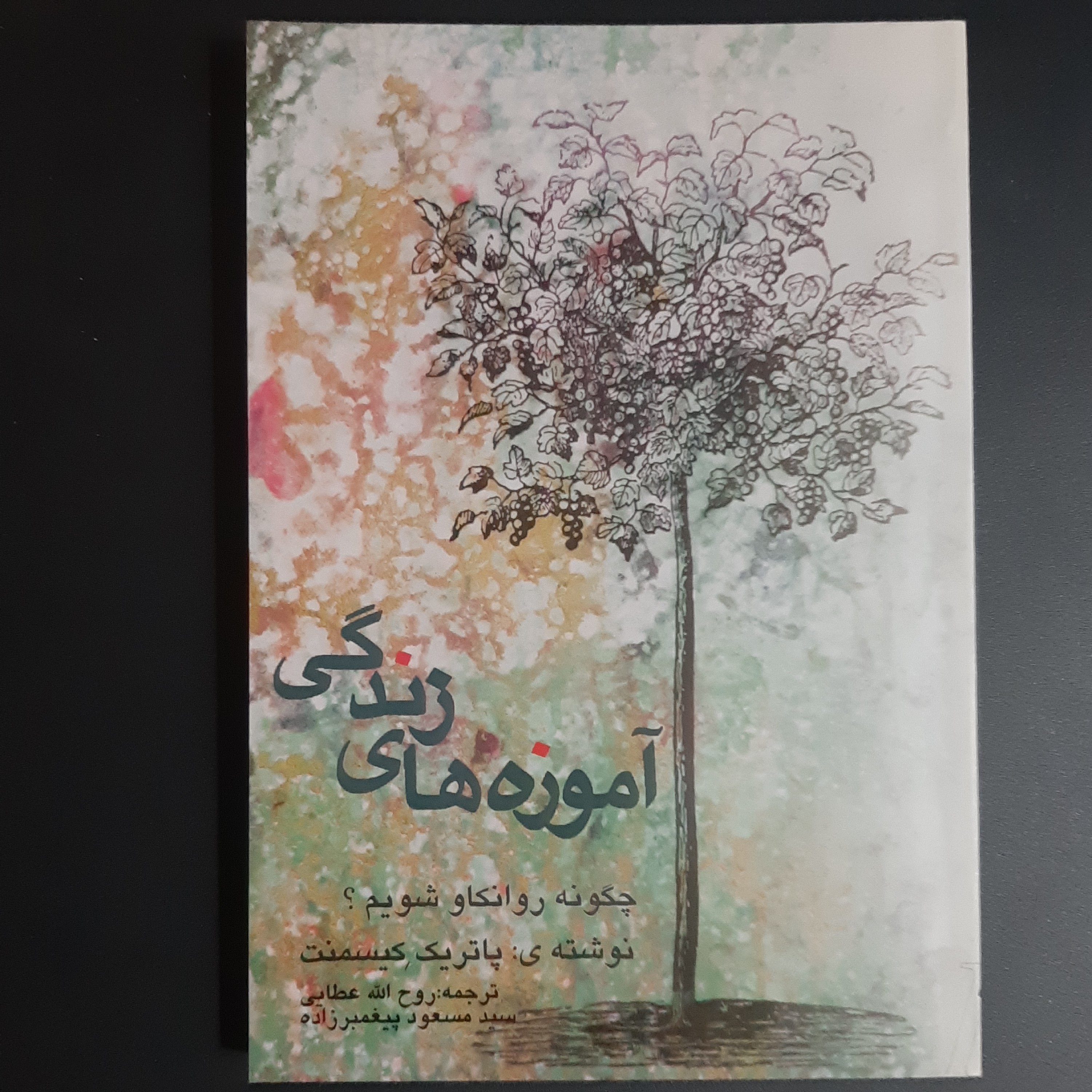 کتاب آموزه های زندگی