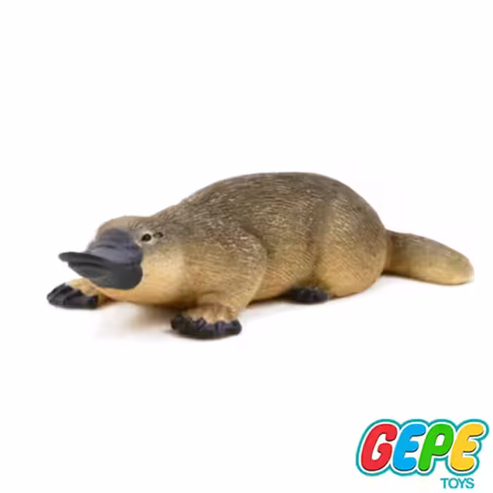 فیگور نوک اردکی (پلاتیپوس)