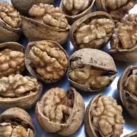 گردو با پوست کاغذی 2000گرم 2کیلویی