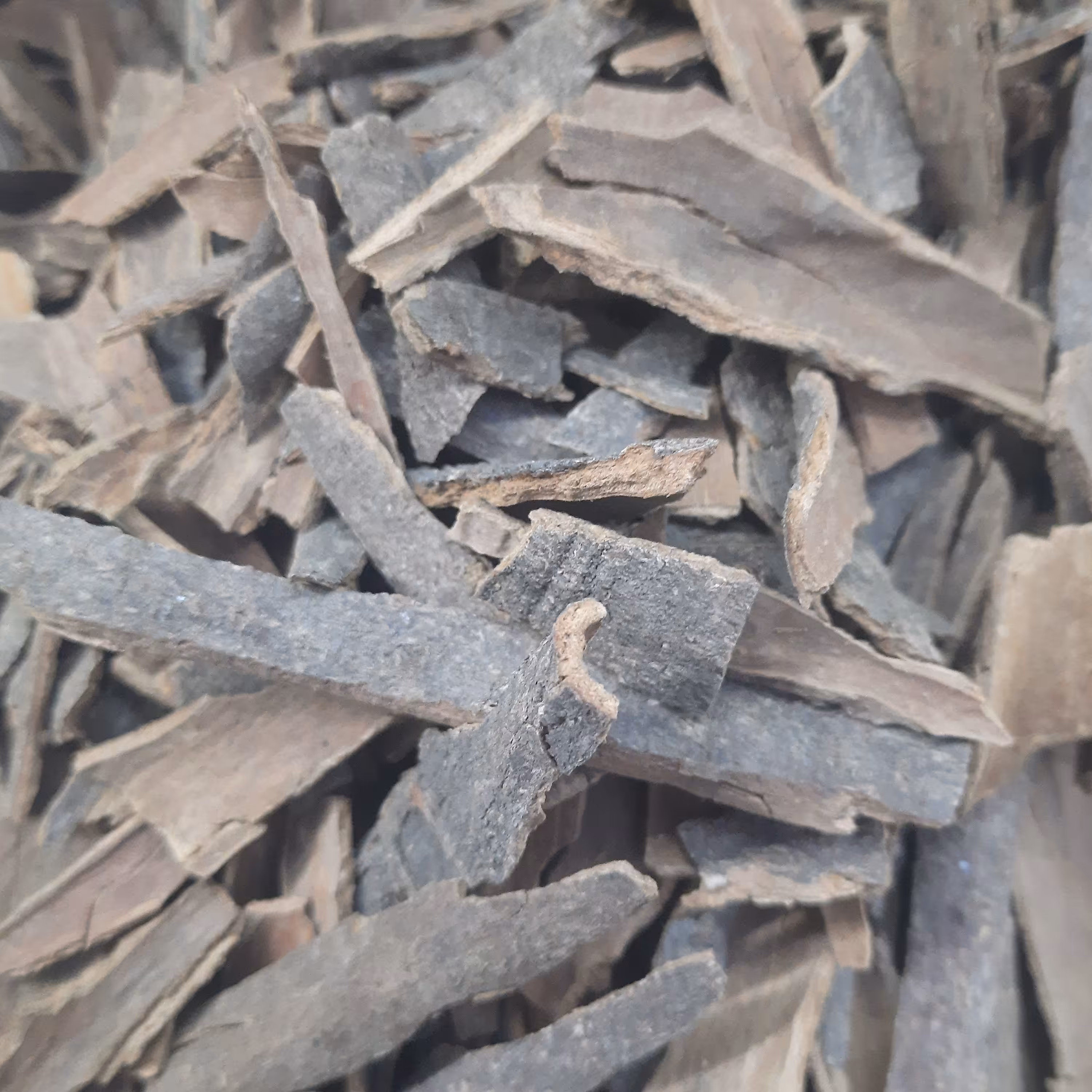 چوب دارچین ممتاز