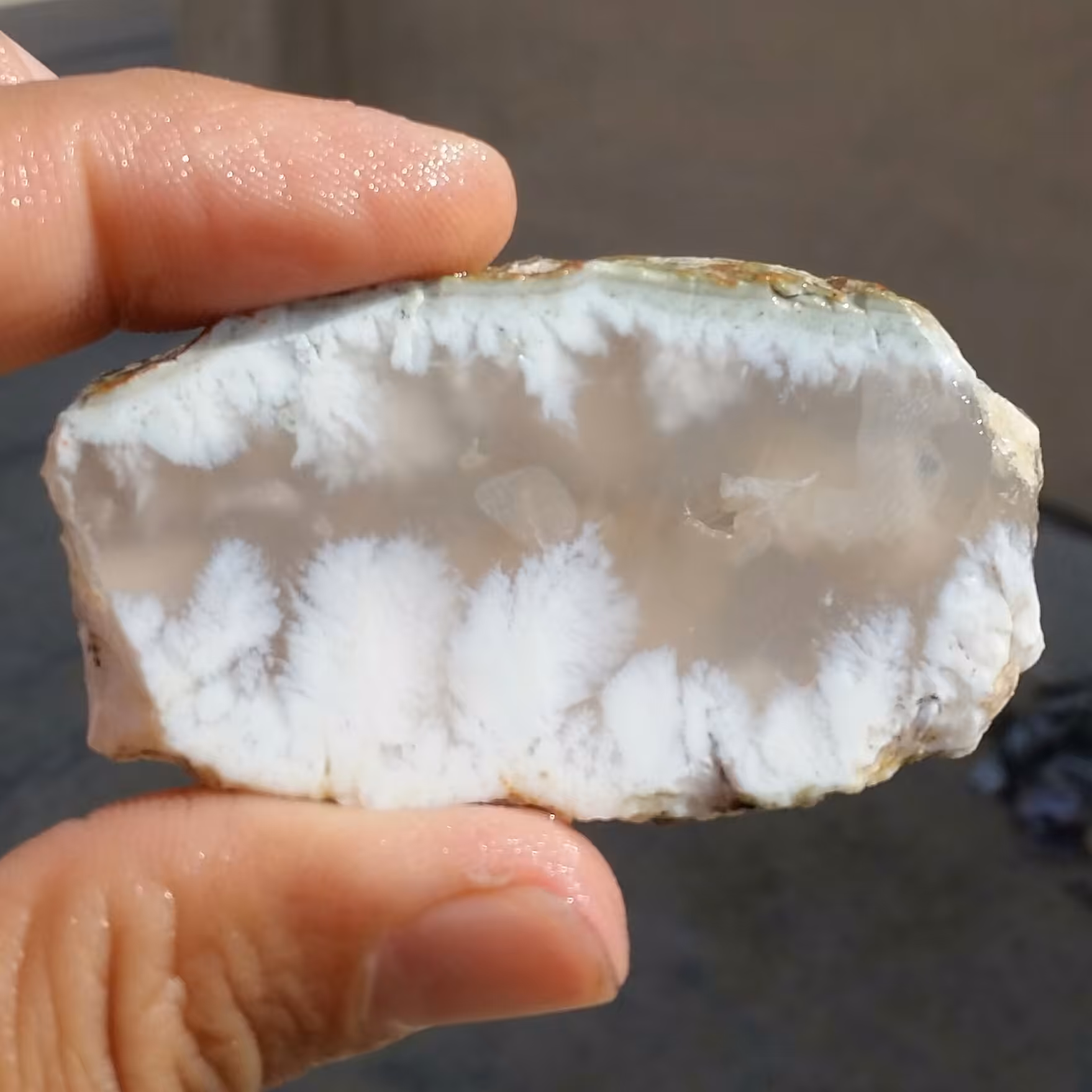 اسلایس سنگ راف عقیق شجر شکوفه سفید با شجرهای واضح و بسیار زیبا و خاص دو طرفه 100 در 100 طبیعی  
کد 11814