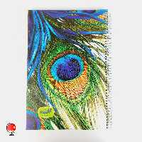 دفتر 100 برگ رحلی سیمی جلد طلقی برند آپادانا طرح طاووس کد 21104