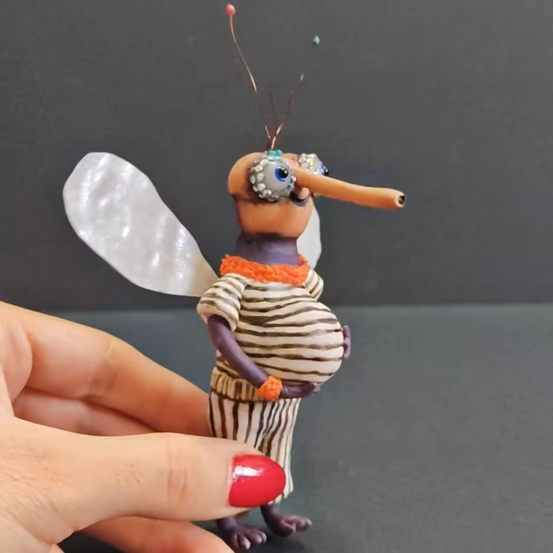 جاسوییچی  پشه حامله