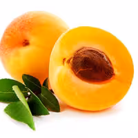 اسانس مایع زردآلو درجه یک در بسته بندی 500گرمی