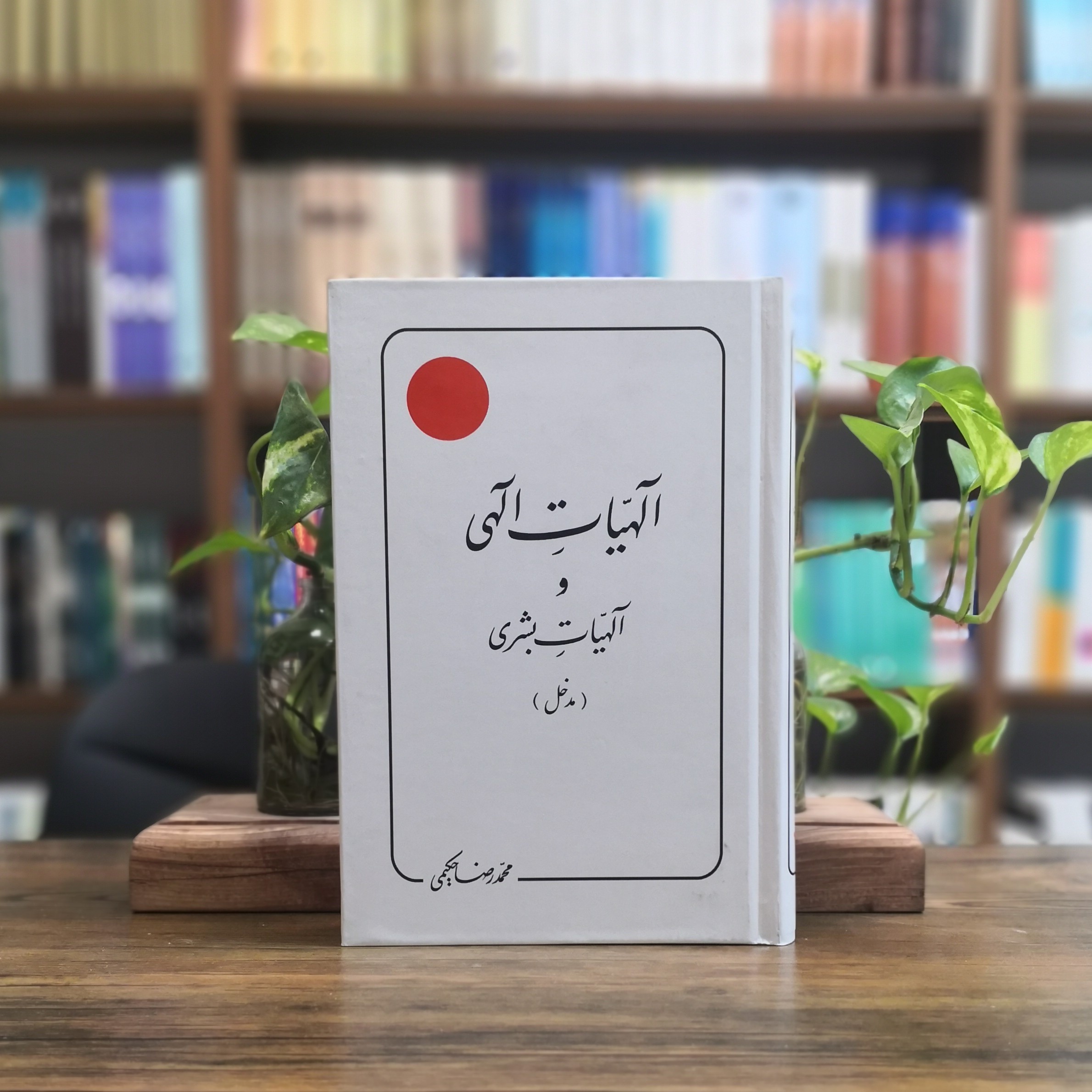 کتاب الهیات الهی و الهیات بشری مدخل انتشارات دلیل ما