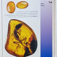 کتاب گوهر ایران مرجع شناخت سنگها و جواهرات سلطنتی ایران و جهان