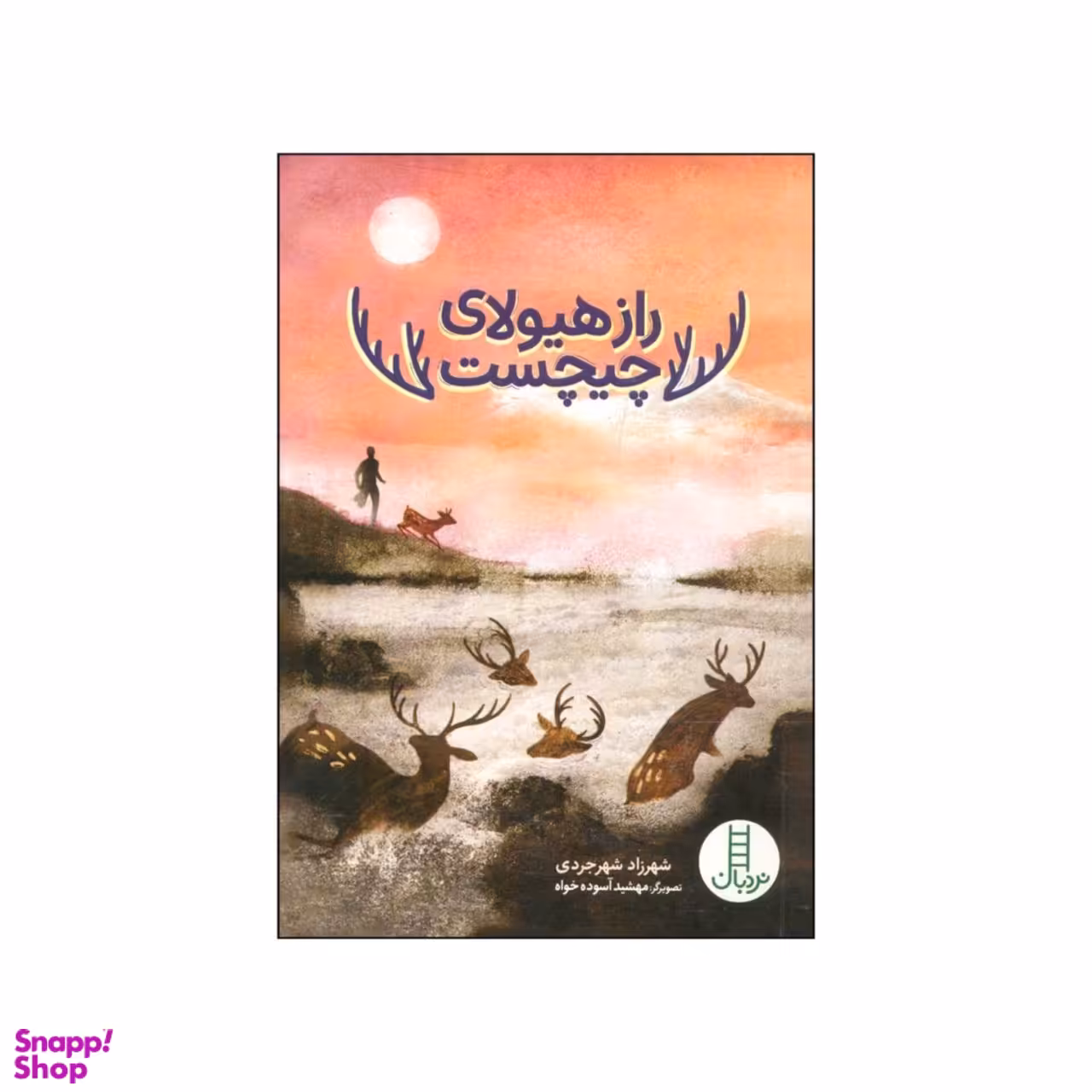 کتاب راز هیولای چیچست اثر شهرزاد شهرجردی انتشارات نردبان
