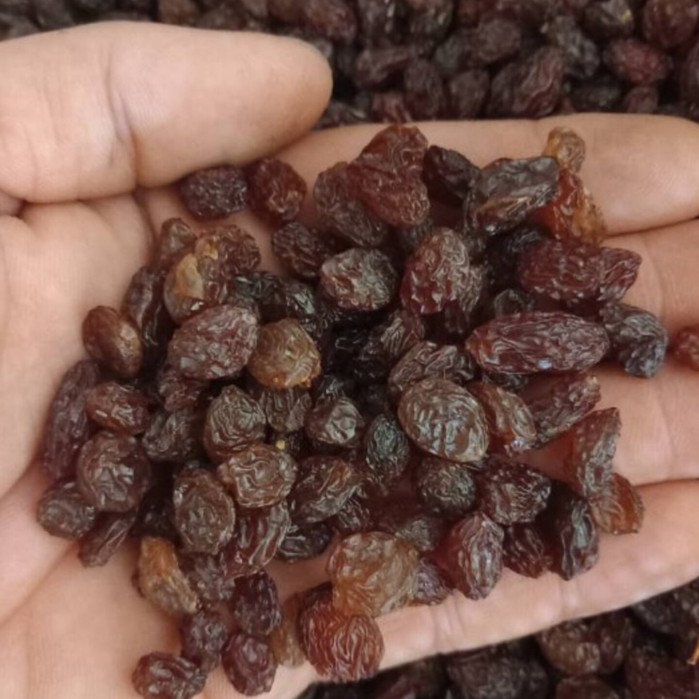 کشمش پلویی مجلسی درجه یک
شسته شده با دستگاه تمام اتوماتیک
سورت شده ( بسته نیم کیلویی )