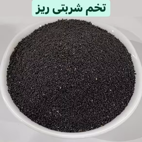 تخم شربتی ریز  در بسته بندی کاملا بهداشتی و تازه