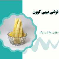 ترشی بی بی کورن