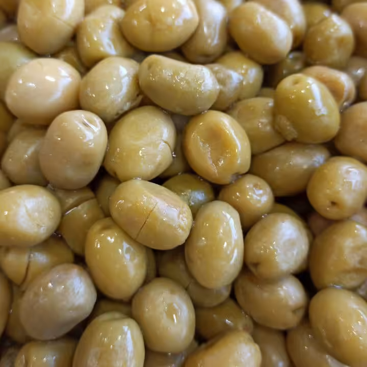 زیتون شکسته جنگلی