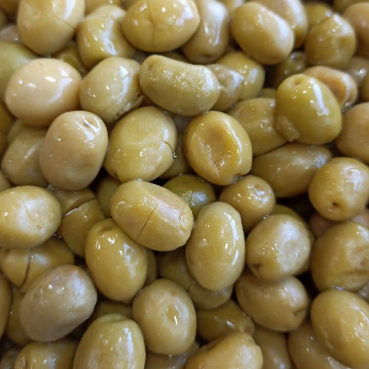 زیتون شکسته جنگلی