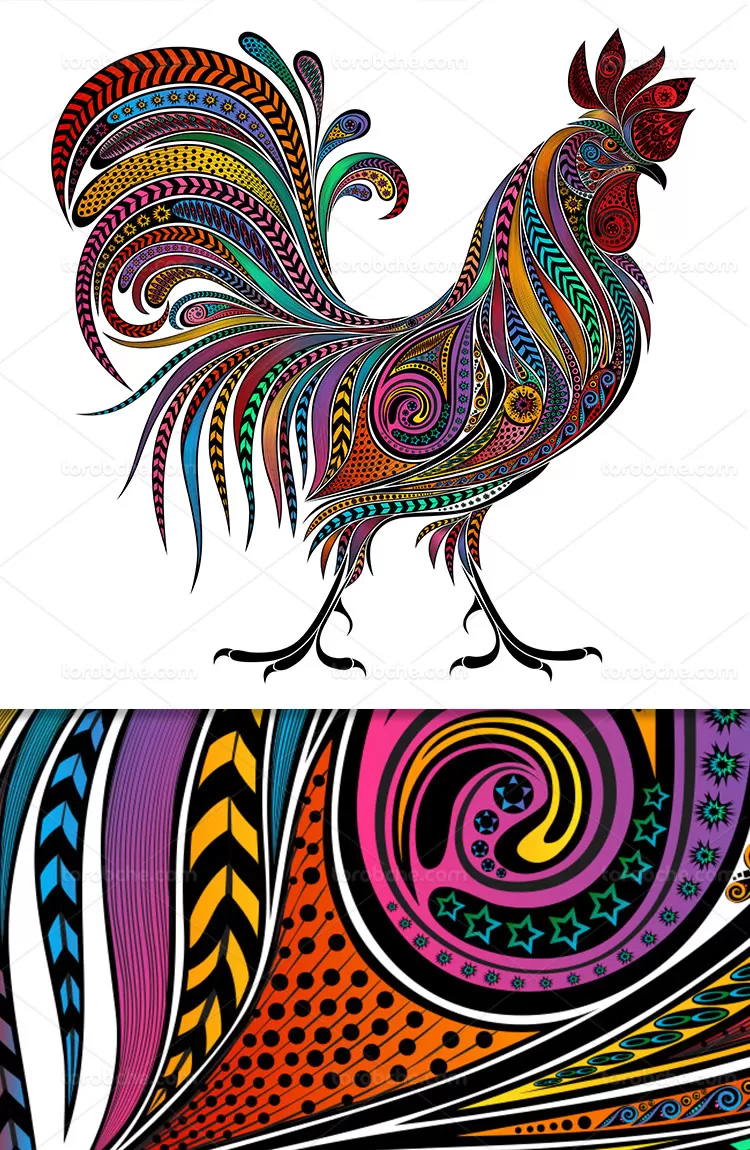 وکتور خروس طرح ماندالا | گرافیک با طعم تربچه