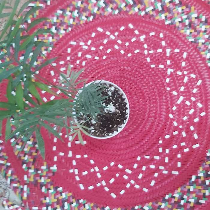 سفره  100 سانتی