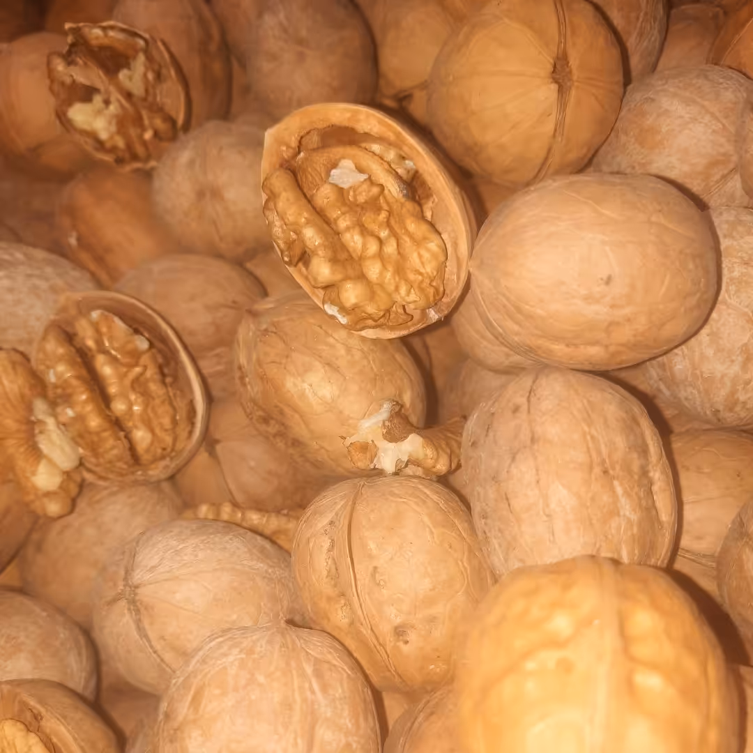 گردو پوست کاغذی 1000گرمی