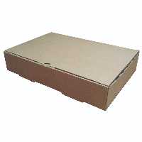 جعبه غذای بیرون بر دو پرسی قهوه ای بسته 50 عددی