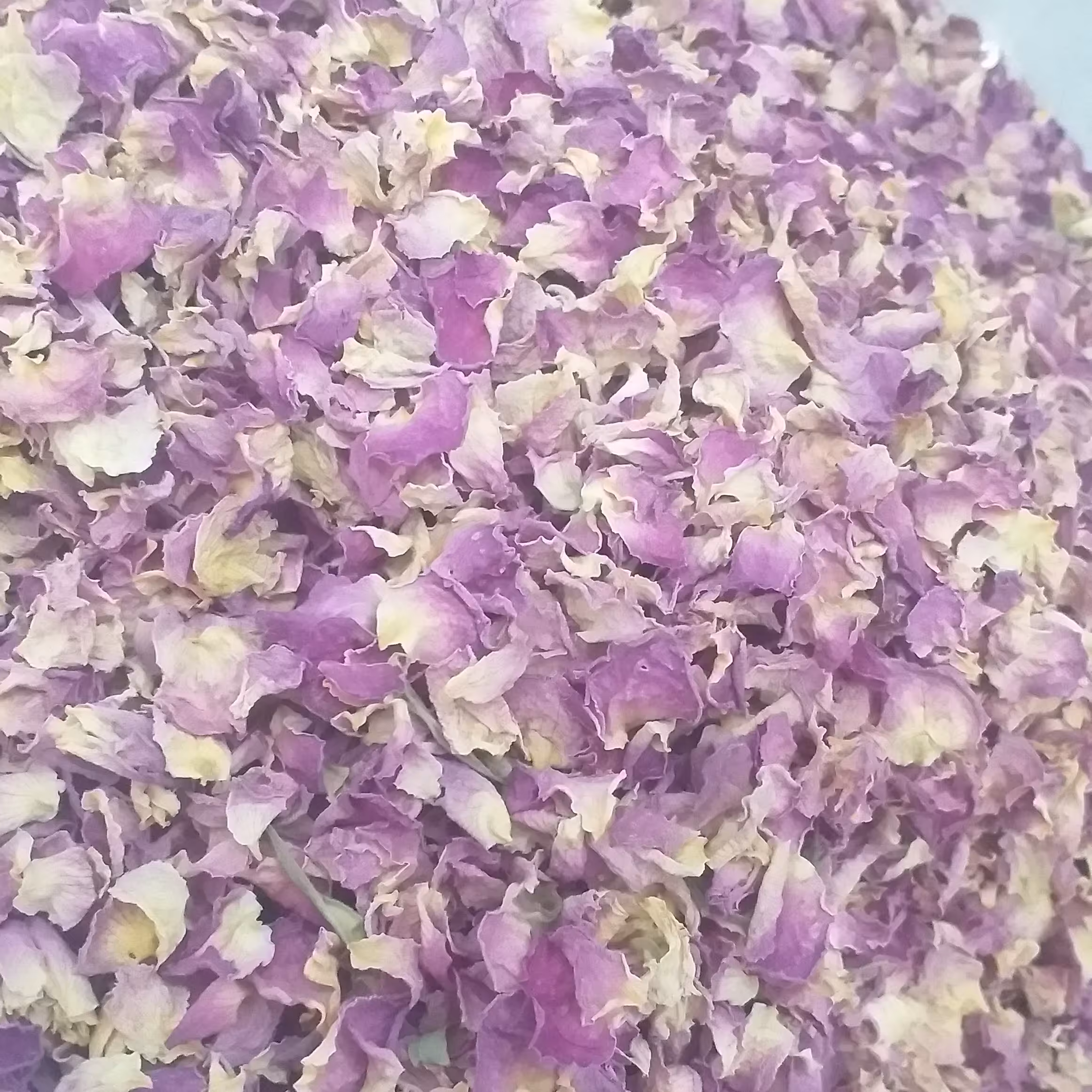 پر گل خشک و معطر 